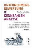 Unternehmensbewertung & Kennzahlenanalyse: Praxisnahe Einführung mit zahlreichen Fallbeispielen börsennotierter Unternehmen